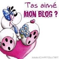 t'as aimé mon blog?